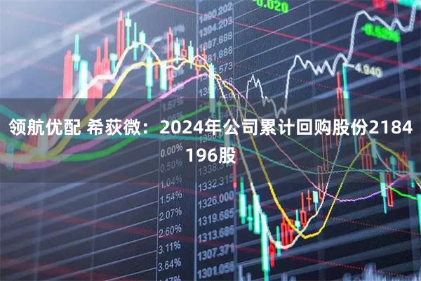 领航优配 希荻微：2024年公司累计回购股份2184196股